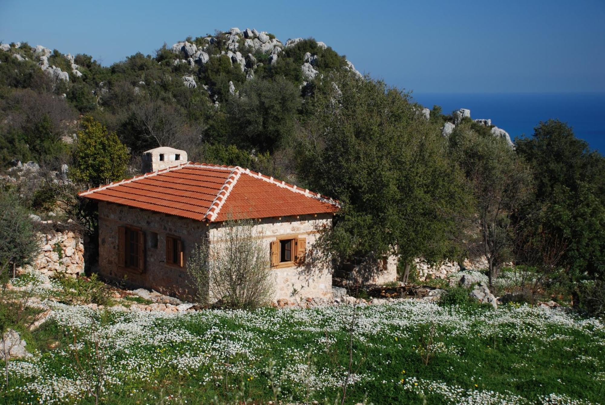 Hoyran Wedre Country Houses Davazlar Екстер'єр фото