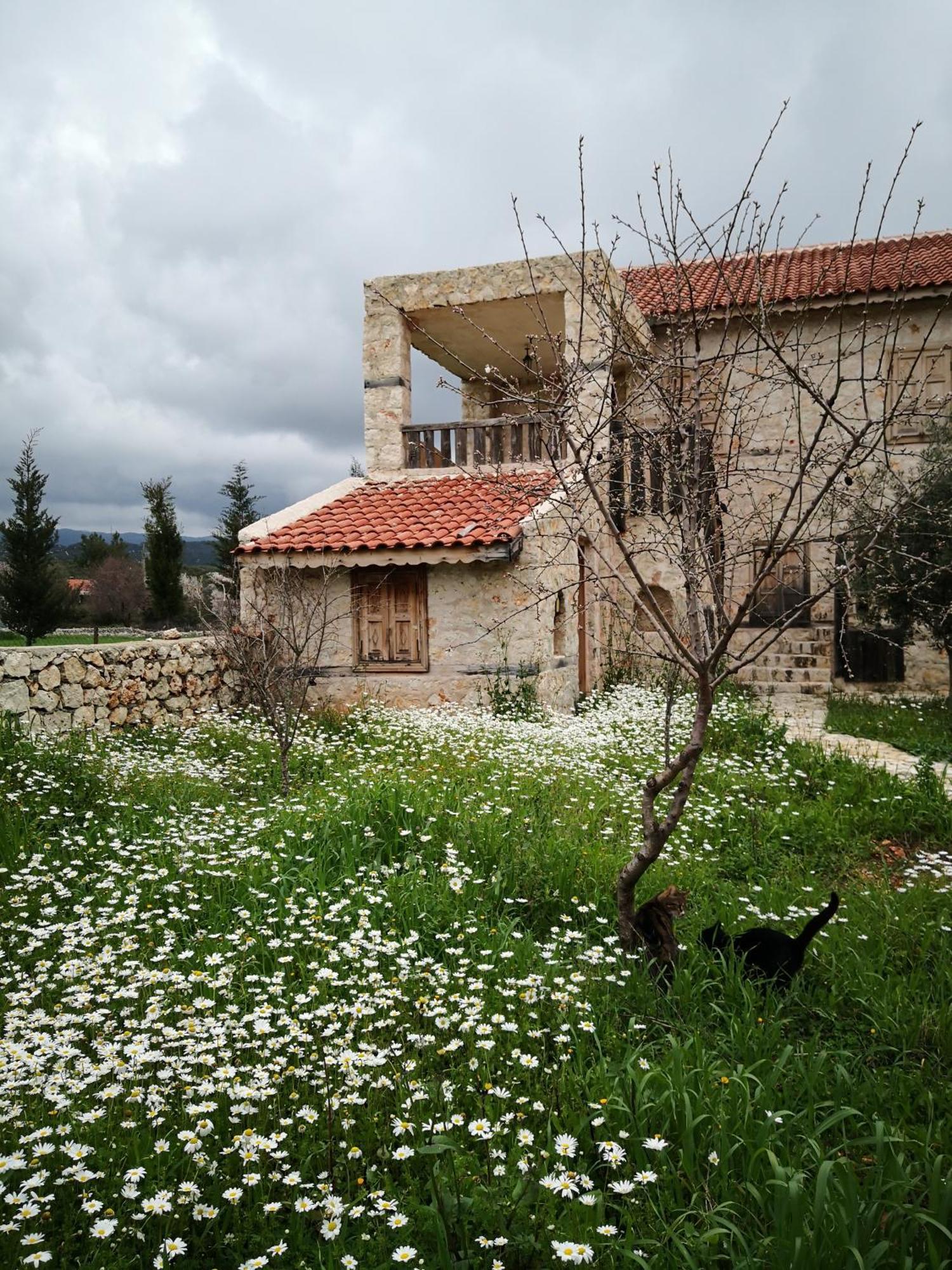 Hoyran Wedre Country Houses Davazlar Екстер'єр фото